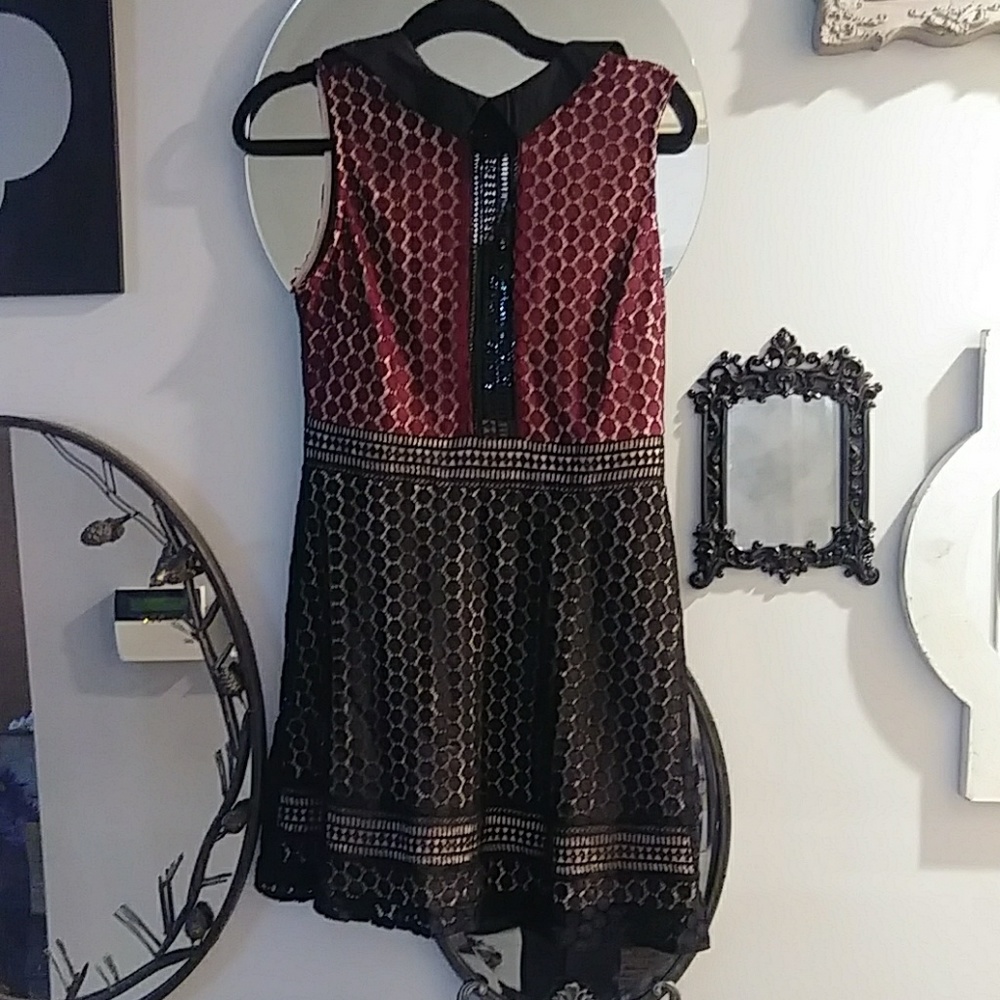 Lace collared dress.